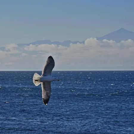דירה Faro De Sardina